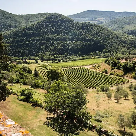 Castello Del Trebbio 农家乐 LʼOpaco