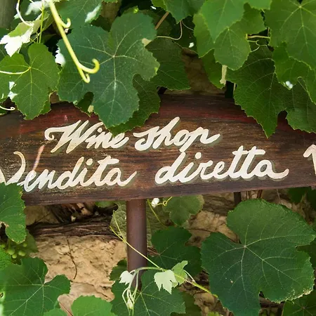 Castello Del Trebbio