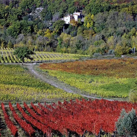 Castello Del Trebbio Alloggio per agriturismo *